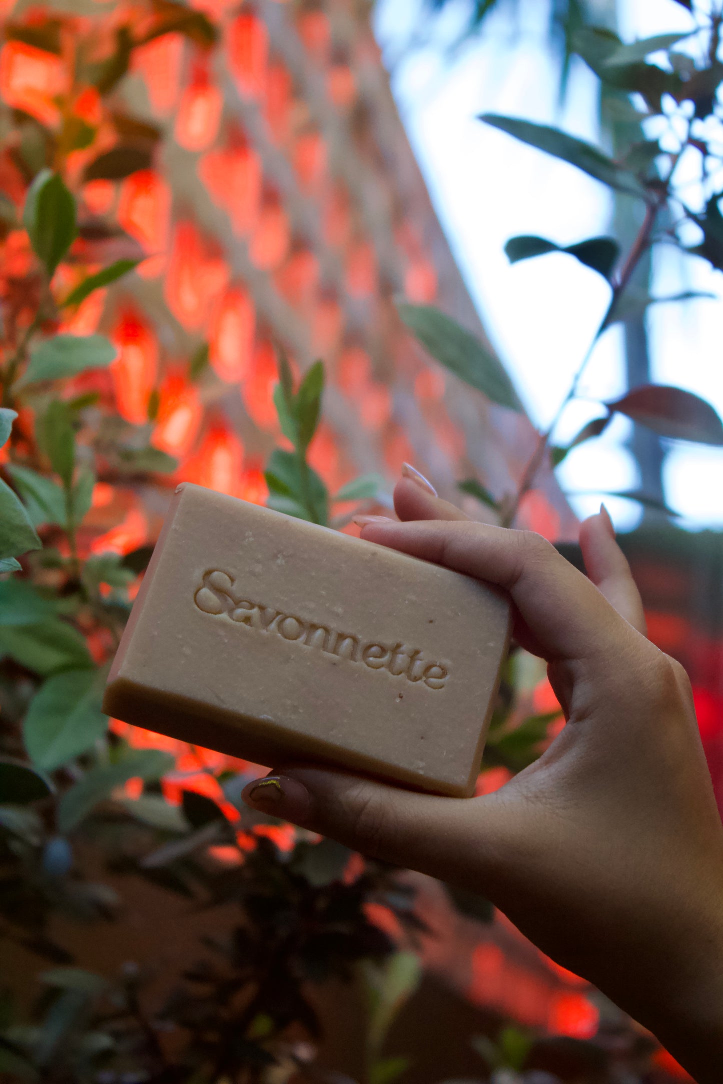 Oatmeal - Artisan Soap